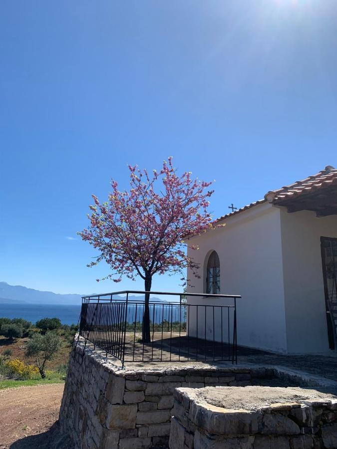 Villa Delfini ครานี ภายนอก รูปภาพ